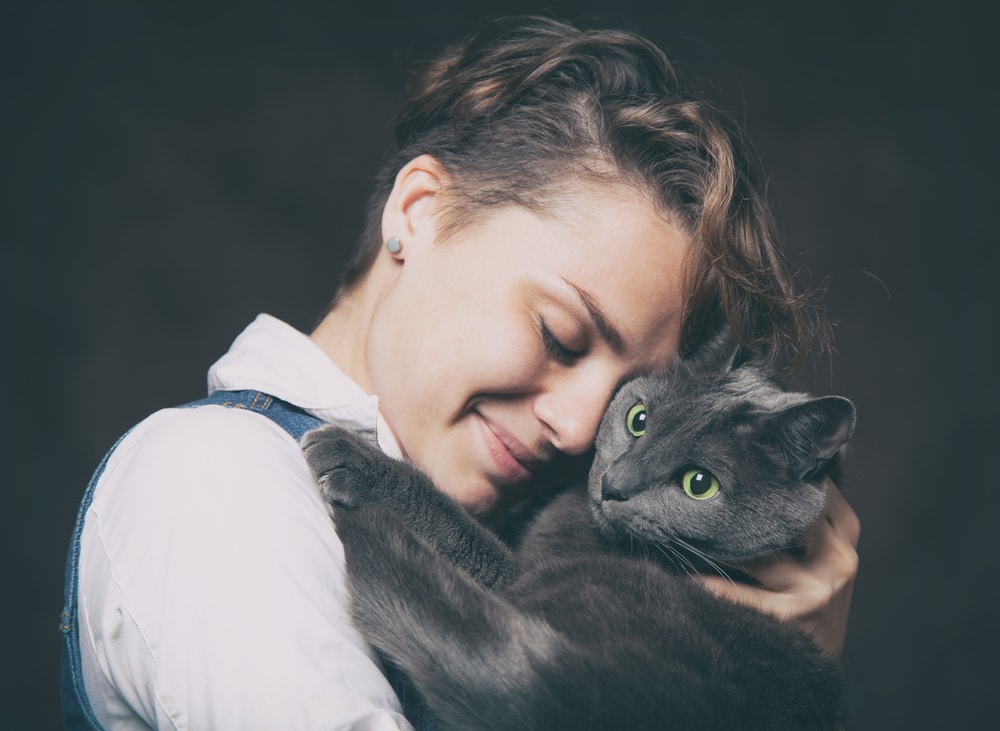 Russian Blue cats are close to the people they love