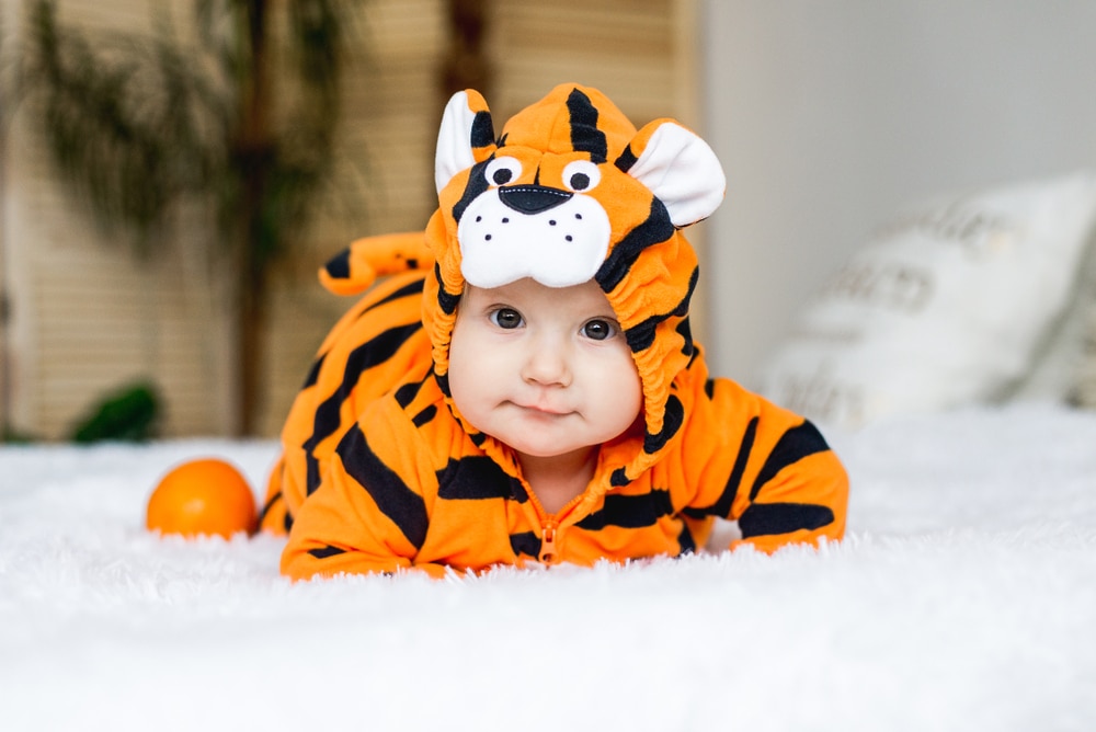 baby in tiger suit for year of the tiger celebrations