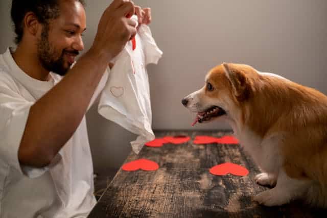 A man holding a baby onesie with red hearts sits at a table adorned with Valentine's Day dog-themed heart-shaped cutouts. A corgi stands on the table, eyes warm and questioning, as if pondering, "Does My Dog Love Me?.