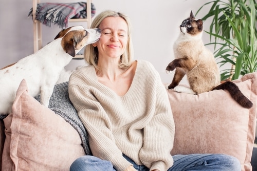 Woman sitting on a couch, smiling as her valentines day dog licks her cheek, answering the question "Does My Dog Love Me?". A cat sits nearby with a plant in the background.