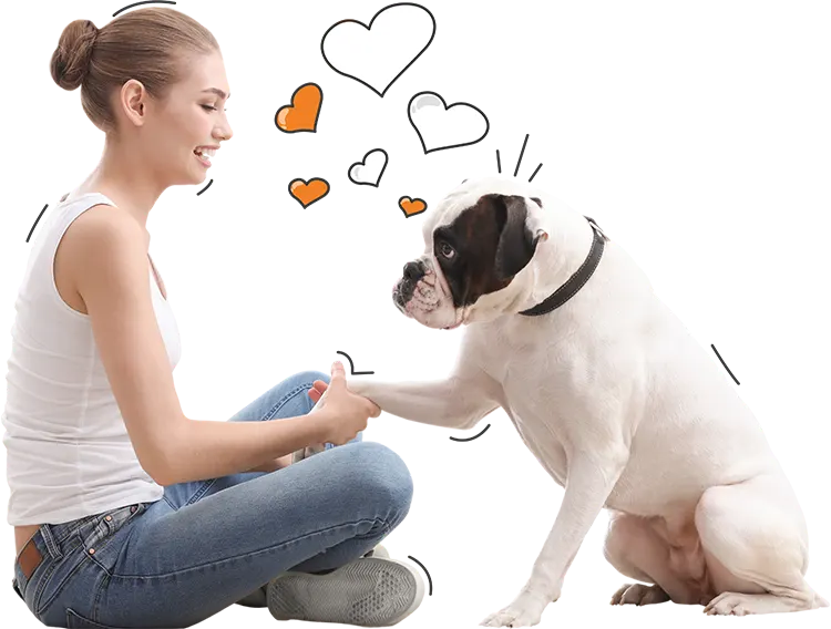 compare pet insurance
