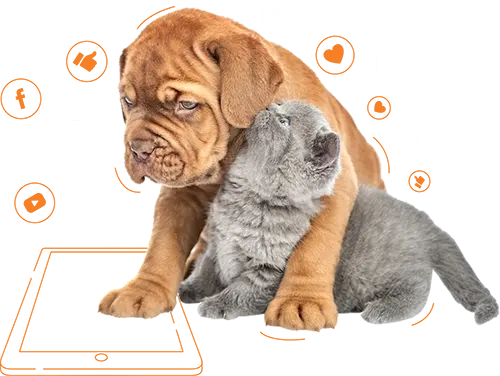 contact PD Insurance