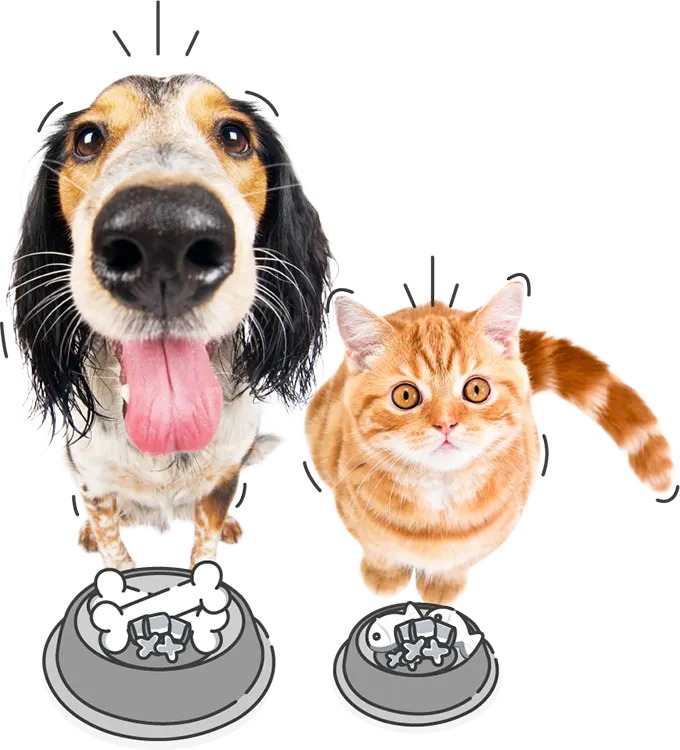 Healthy Pets New Zealand