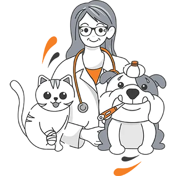 pet insurance NZ