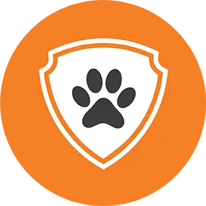 Pet Insurance NZ