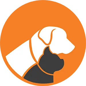Pet Insurance NZ