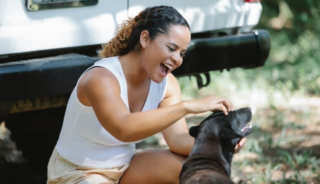 A woman travelling with her dog for the Easter holidays takes a stop off for her dog to play a bit on a grassy patch
