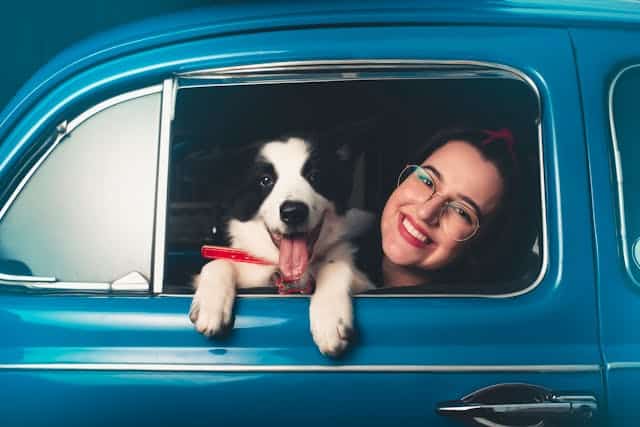 A woman taking a road trip with  her dog in a blue car.