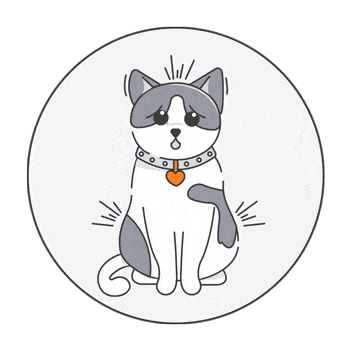 cat insurance NZ