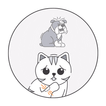 Pet insurance NZ