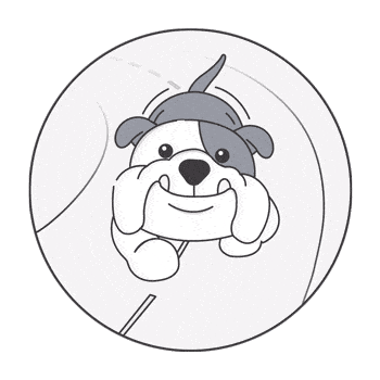 pet insurance NZ