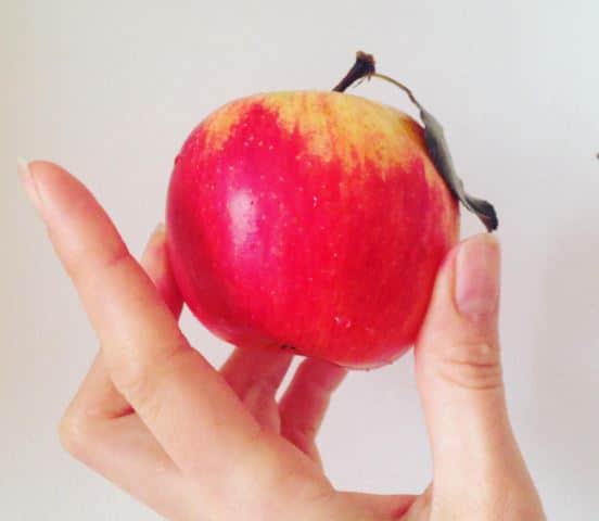 remove the core and seeds before feeding apple to your dog