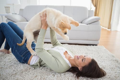 Being a first-time pet owner is like being a new parent – or rather it is being a new parent.