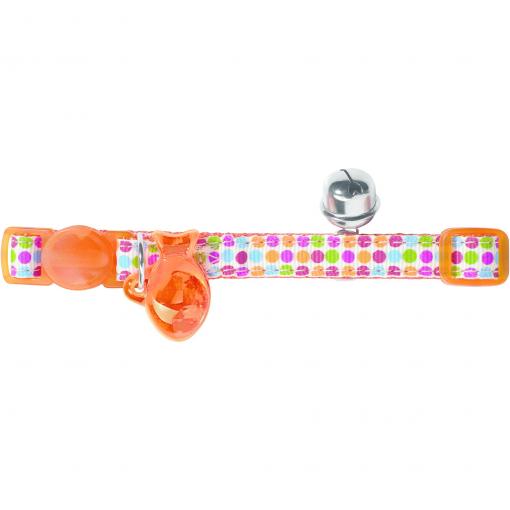 pretty colourful cat collar with a bell
