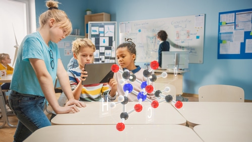 schoolkids view google 3D animals and anatomical systems