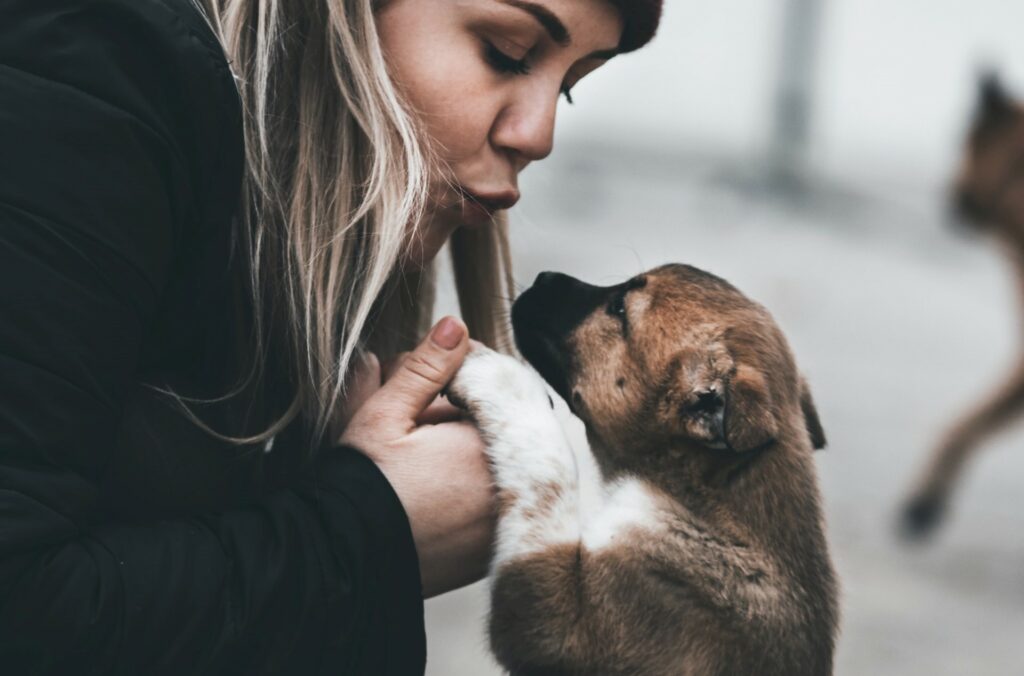 Hypothyroidism is a congenital condition that mostly affects medium to large dogs