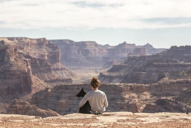 A person sits with a dog on a canyon edge, overlooking expansive rock formations under a cloudy sky.