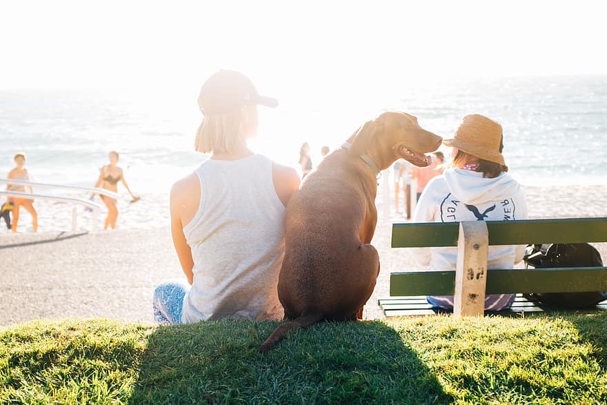 This pet-mum loves her fur-kid and has made sure he has dog insurance for a happy and healthy life. 