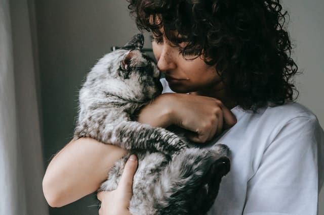 pet owner experiences the physical benefits of owning a cat