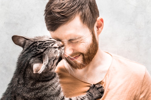 grey tabby cat kissing face of young man in orange shirt