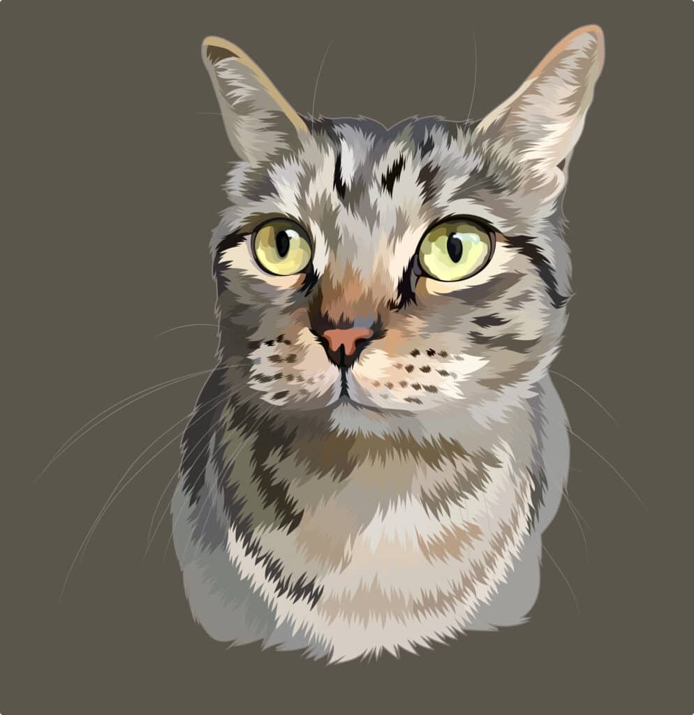 picture of grey tabby cat hand drawn pet portrait which makes an amazing present for cat lovers
