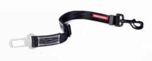 For tips on dog leashes, harnesses and leads, read this article.