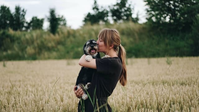 Kiwis look for the best pet insurance plan