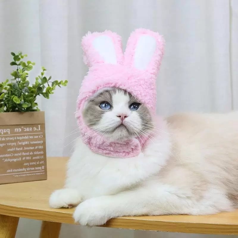 A cat wearing a pink bunny hat for an easter basket idea.