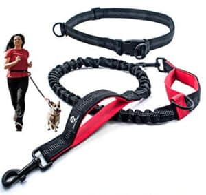 Hands-free lead