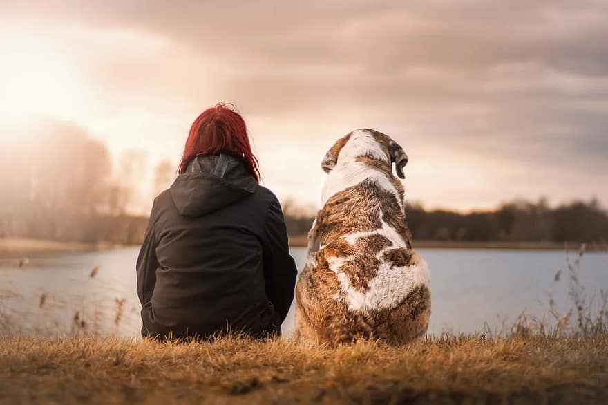 woman road trips with dog for a happy National Pet Day celebration