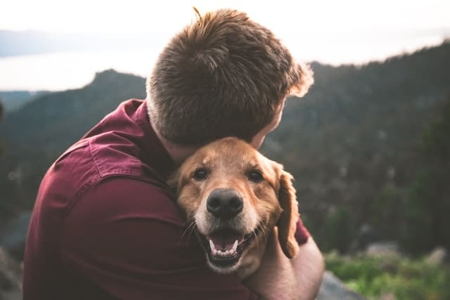 An owner hugs their dog who's recovered from surgery