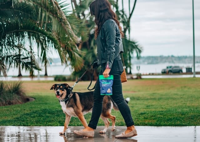 use treats to stop your dog pulling on the lead