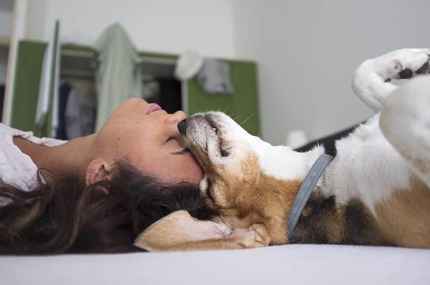 This women has a high level of accuracy when it comes to understanding her dog's different bark and growl types.