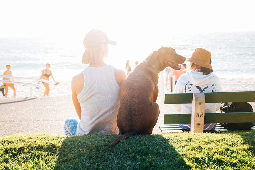 This pet-mum loves her fur-kid and has made sure he has dog insurance for a happy and healthy life.