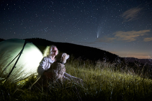 A Kiwi woman camping with her dog in a grassy field under the Matariki star cluster