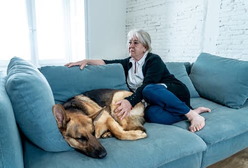 This lady is one of many forced to give up pets for adoption