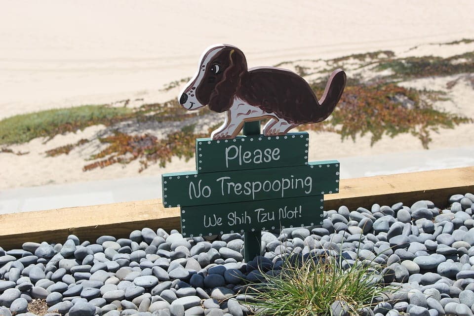 This sign clearly states the park rules for puppy poop.