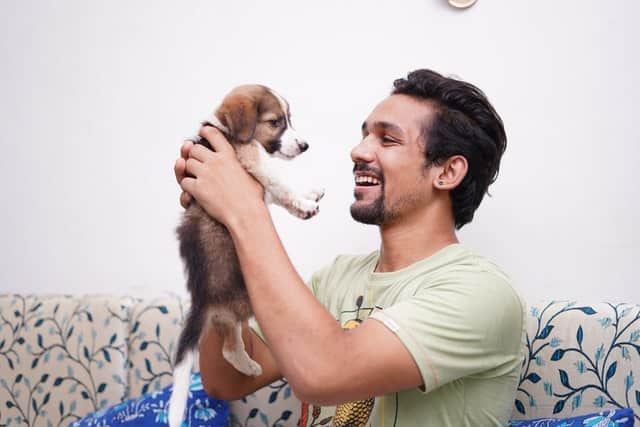 Kiwi pet owner begins puppy sleep training