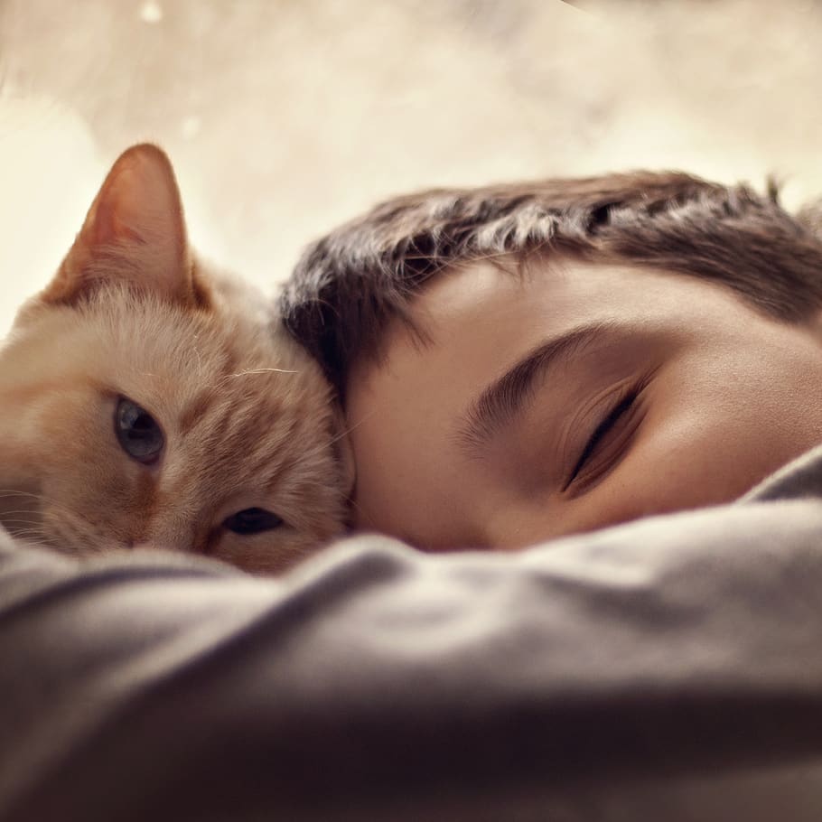 Children can benefit from the companionship of having their cat sleep in bed with them.