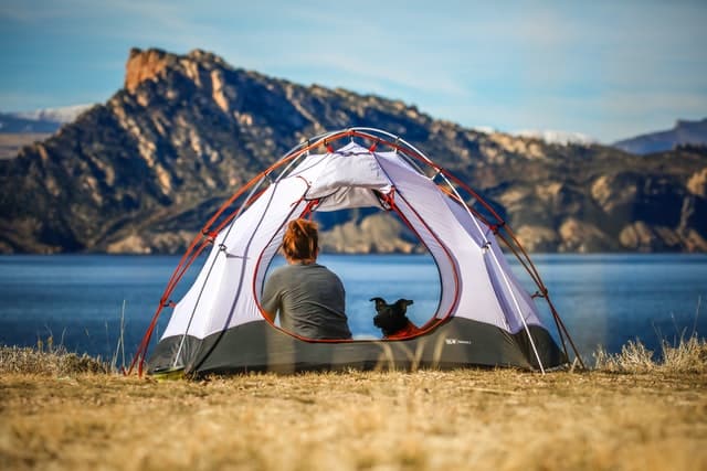 A woman enjoys a scenic view on a South Island road trip with her dog as they sit side by side in a small tent overlooking a lake