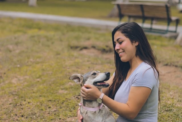 Kiwi pet owner plays with her dog