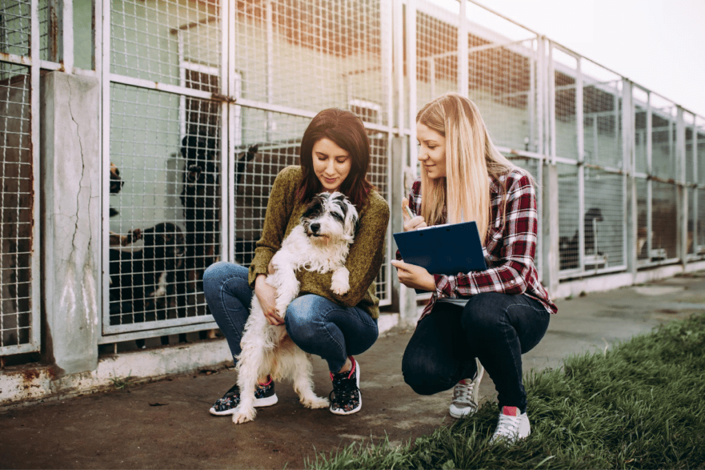 a dog adoption checklist comes in hands at dog shelters