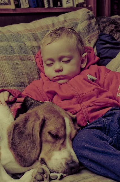baby boy and beagle lying on couch sleeping