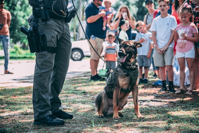 army training presentation for school kids