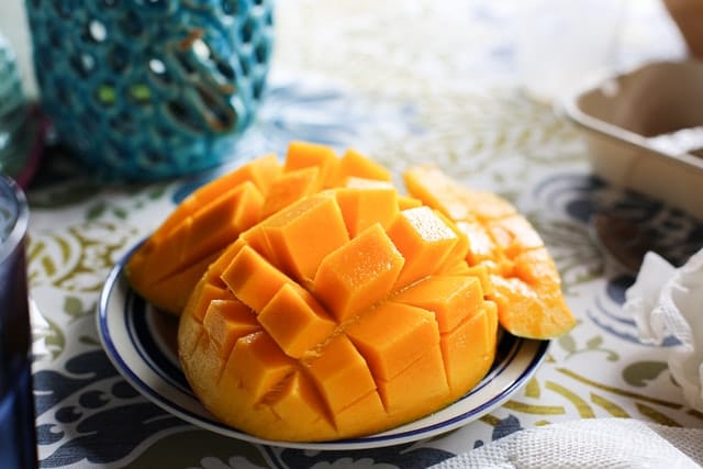 dogs can have mango in moderation
