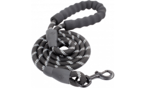 LED/reflector night leash