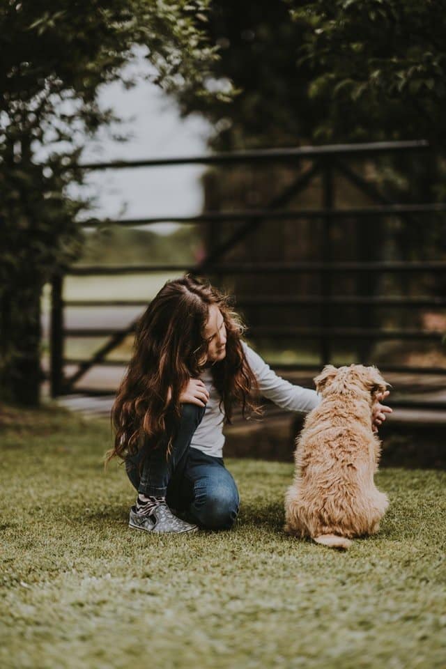 a terrier dog and kid with long brown hair sitting outside on the grass