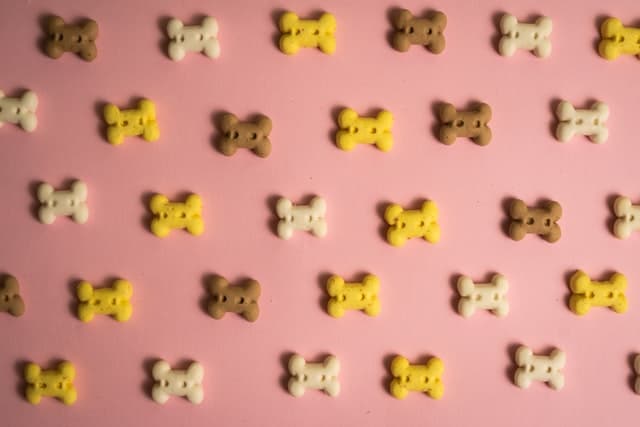 not all dog kibble will fulfil your dog's health needs