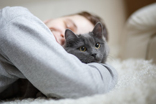 woman giving a hug to grey cat on bed