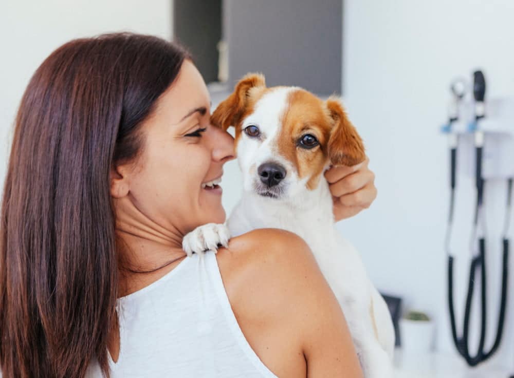 pet plan love comes from due diligence